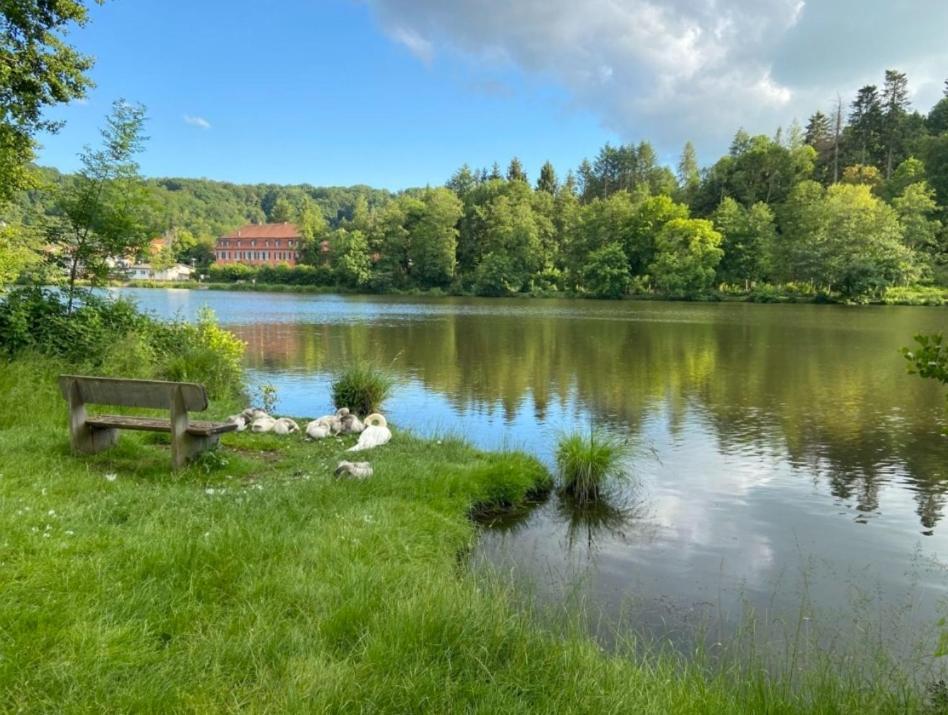 Hotel Und Restaurant Halbinsel Blieskastel Exteriör bild